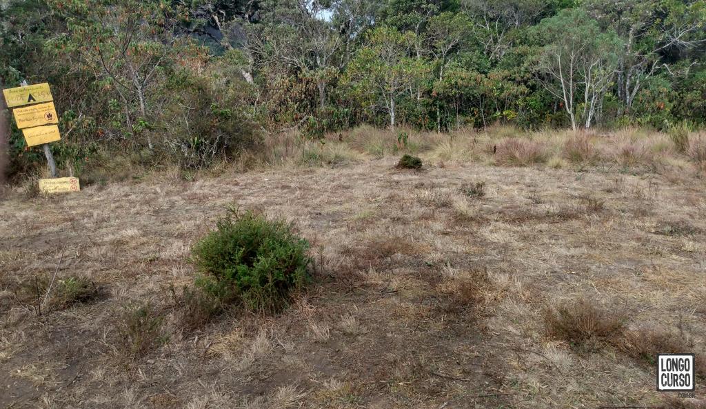 Área de acampamento Base do Papagaio