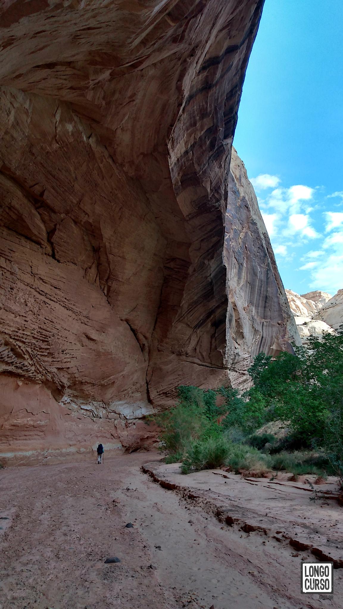 Visual dentro do Lower Spring Canyon