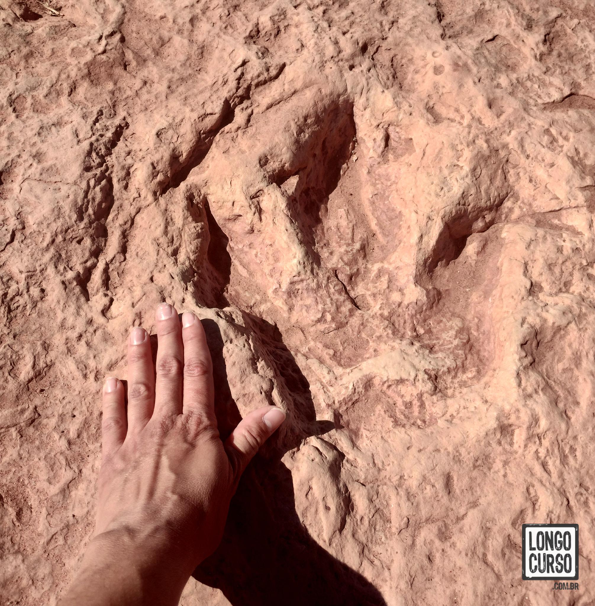 Uma das pegadas de dinossauro encontradas no Moenave Dinosaur Tracks