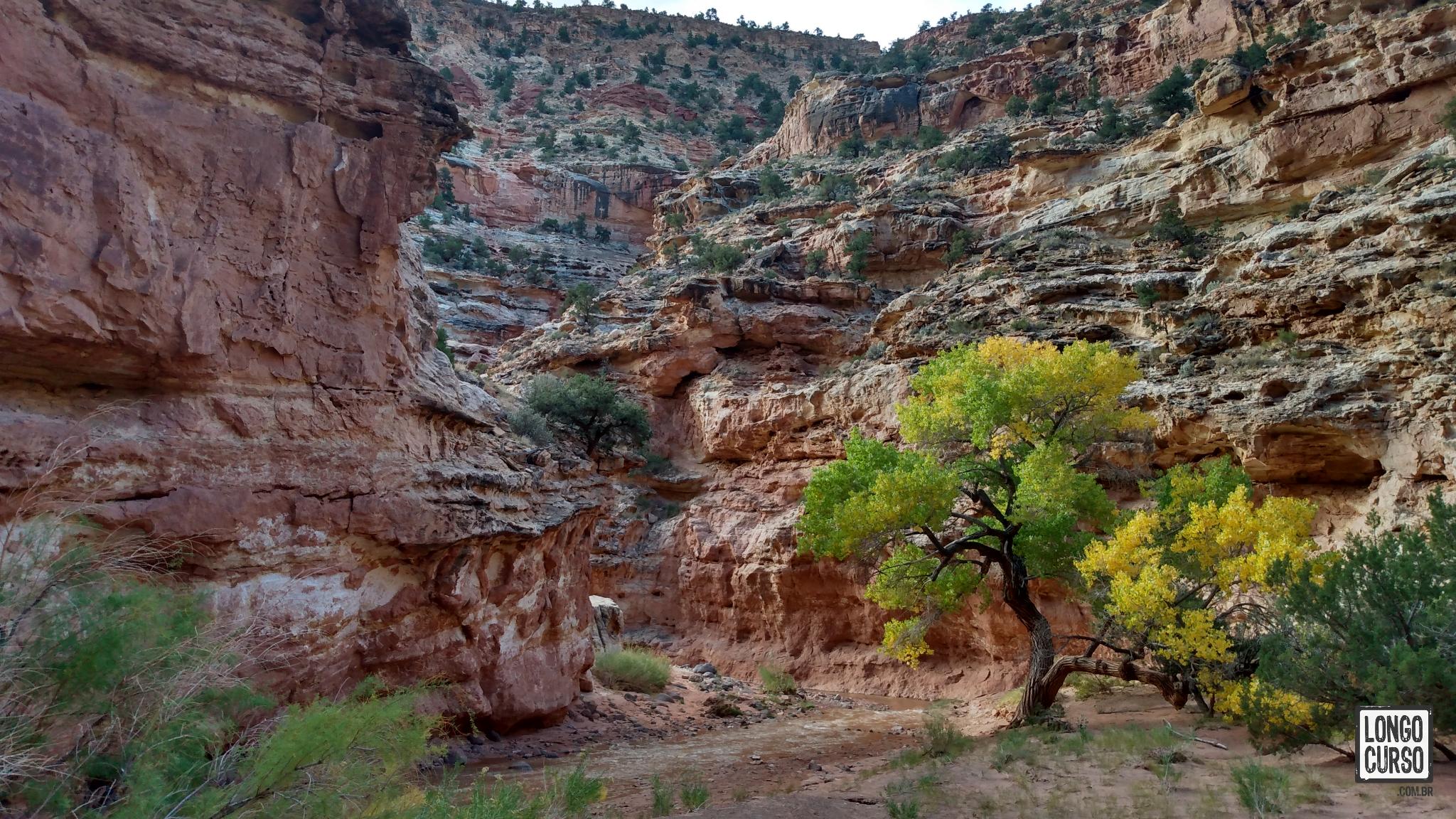 Visual Sulphur Creek