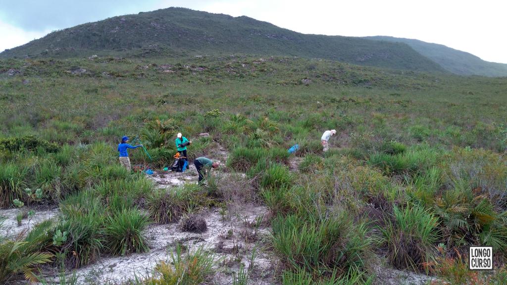 Limpeza da área de acampamento "Areal"