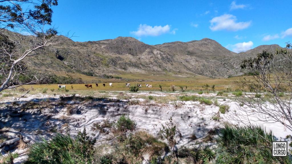 A areia na vale escavada pelo afluente do Jaboticatubas. Ao fundo, o gado observa nossa chegada ao ponto de acampamento.