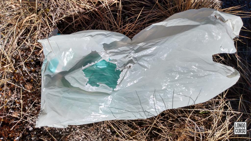 Saco plástico "atacado" pelos carcarás