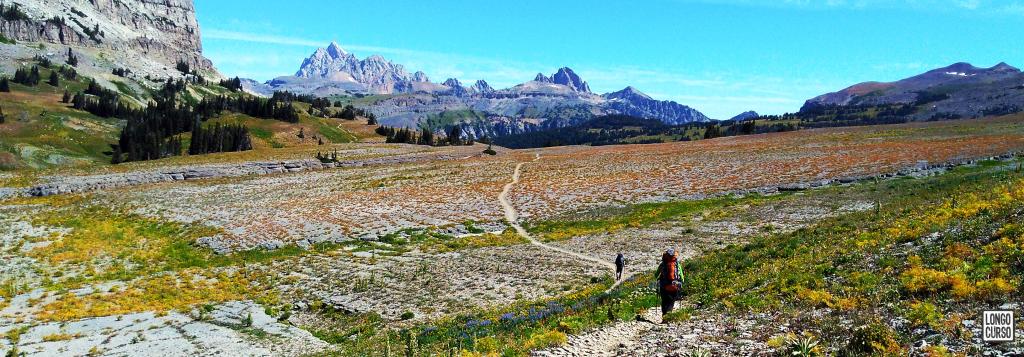 Caminhando na Teton Crest Trail, trecho entre o Marion Lake e a Death Canyon Shelf.